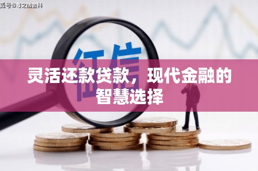 林园灵活还款贷款，现代金融的智慧选择