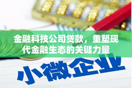 巴马金融科技公司贷款，重塑现代金融生态的关键力量
