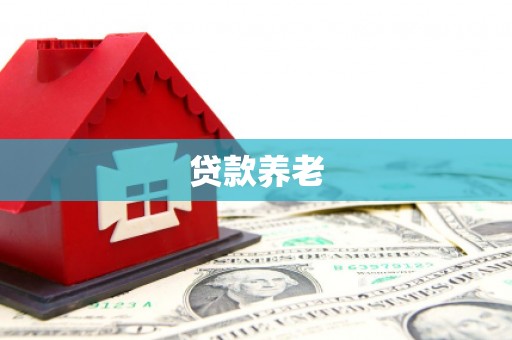 小金贷款养老