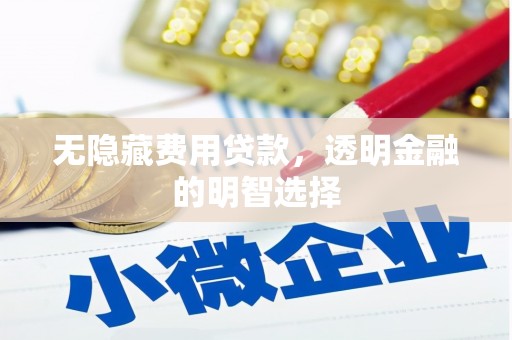 遂溪无隐藏费用贷款，透明金融的明智选择