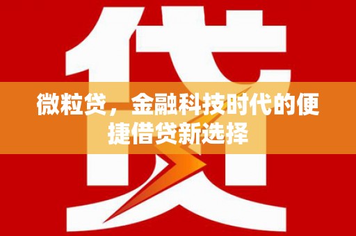梧栖微粒贷，金融科技时代的便捷借贷新选择