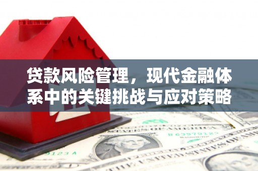 和田贷款风险管理，现代金融体系中的关键挑战与应对策略