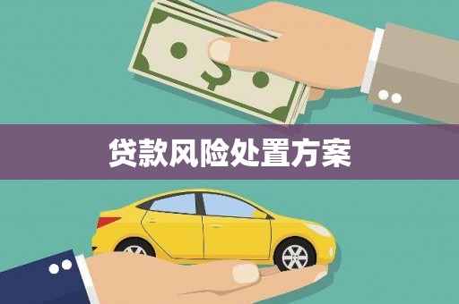 南丹贷款风险处置方案