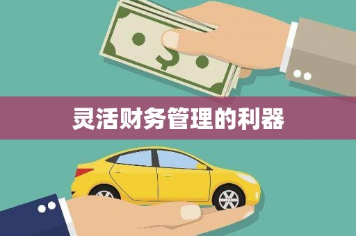 东营灵活财务管理的利器