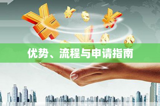 阜阳优势、流程与申请指南