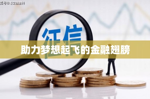 万柏林助力梦想起飞的金融翅膀