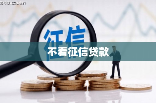 太麻里不看征信贷款
