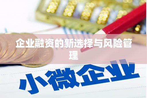 富阳企业融资的新选择与风险管理