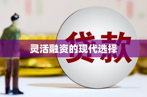 天津灵活融资的现代选择