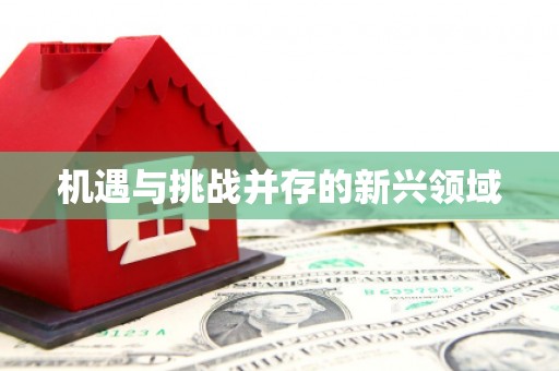 措勤机遇与挑战并存的新兴领域