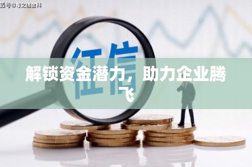 耒阳解锁资金潜力，助力企业腾飞