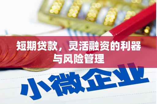 乌丘短期贷款，灵活融资的利器与风险管理